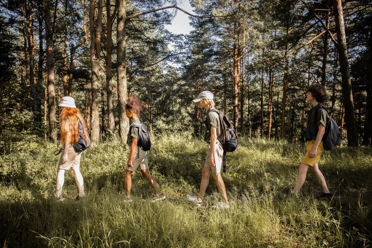 Four teenagers with backpacks walking through tall grass in a sunlit pine forest.